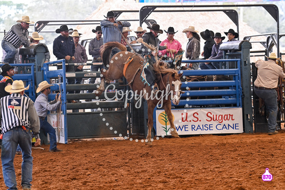 BRIGHTON FIELD DAY AND RODEO PERF #3 2024 37478