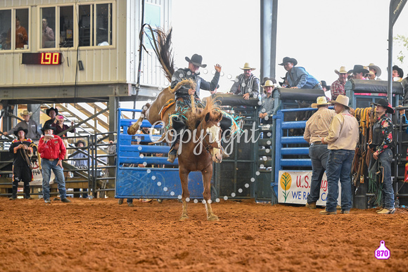 BRIGHTON FIELD DAY AND RODEO PERF #3 2024 37483