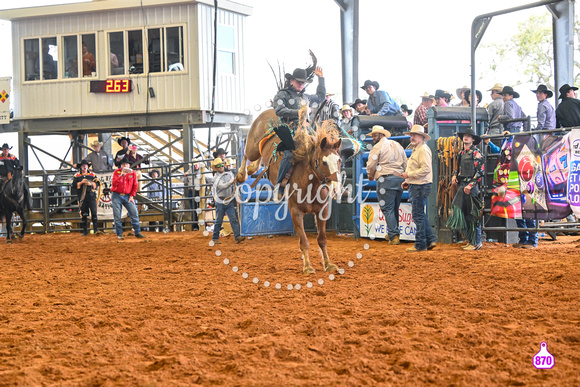 BRIGHTON FIELD DAY AND RODEO PERF #3 2024 37484