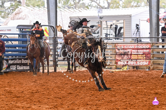 BRIGHTON FIELD DAY AND RODEO PERF #3 2024 37510