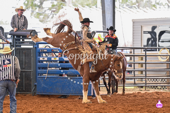 BRIGHTON FIELD DAY AND RODEO PERF #3 2024 37522