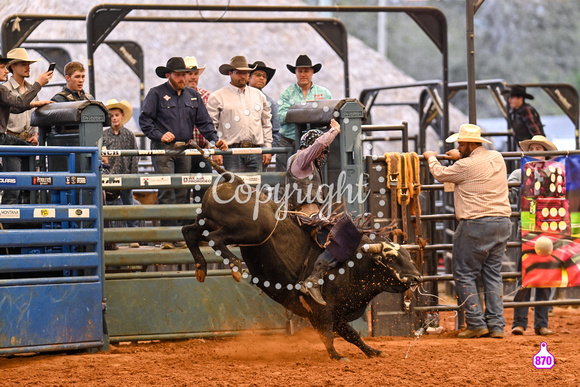 BRIGHTON FIELD DAY AND RODEO PERF #3 2024 37982