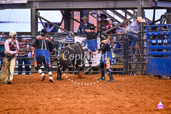 BRIGHTON FIELD DAY AND RODEO PERF #3 2024 38017