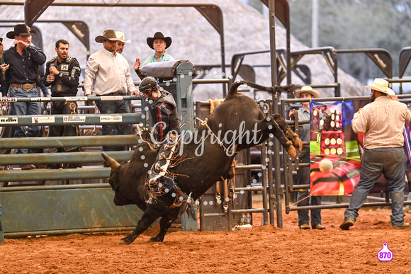 BRIGHTON FIELD DAY AND RODEO PERF #3 2024 38091
