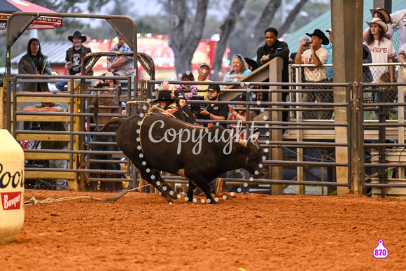 BRIGHTON FIELD DAY AND RODEO PERF #3 2024 38168