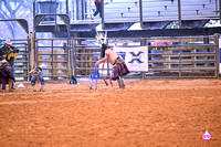BRIGHTON FIELD DAY AND RODEO XTREME BULLS 2024 38364