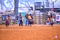 BRIGHTON FIELD DAY AND RODEO XTREME BULLS 2024 38361