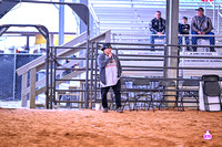 BRIGHTON FIELD DAY AND RODEO XTREME BULLS 2024 38370