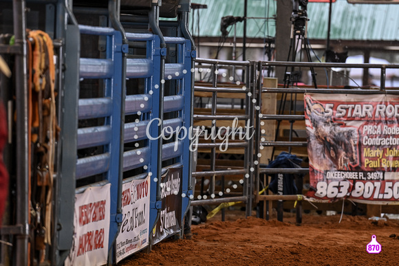BRIGHTON FIELD DAY AND RODEO XTREME BULLS 2024 38433