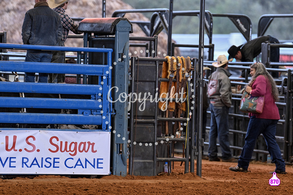 BRIGHTON FIELD DAY AND RODEO XTREME BULLS 2024 38437