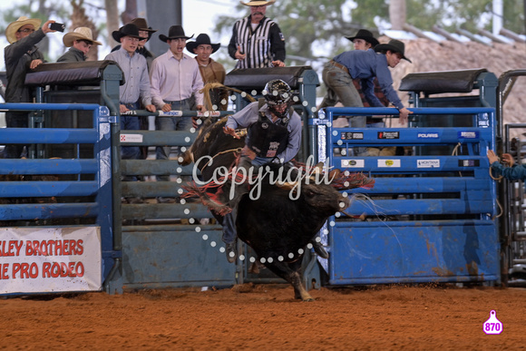 BRIGHTON FIELD DAY AND RODEO XTREME BULLS 2024 38567