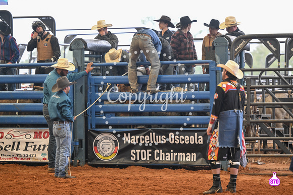 BRIGHTON FIELD DAY AND RODEO XTREME BULLS 2024 38580