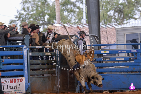 BRIGHTON FIELD DAY AND RODEO XTREME BULLS 2024 38584
