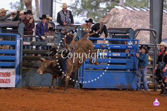 BRIGHTON FIELD DAY AND RODEO XTREME BULLS 2024 38624
