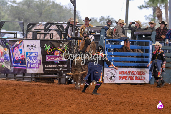 BRIGHTON FIELD DAY AND RODEO XTREME BULLS 2024 38630