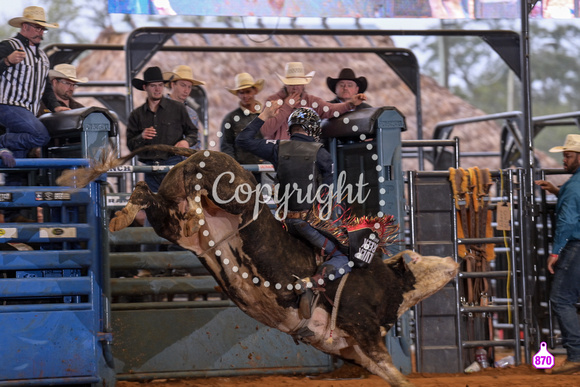 BRIGHTON FIELD DAY AND RODEO XTREME BULLS 2024 38663