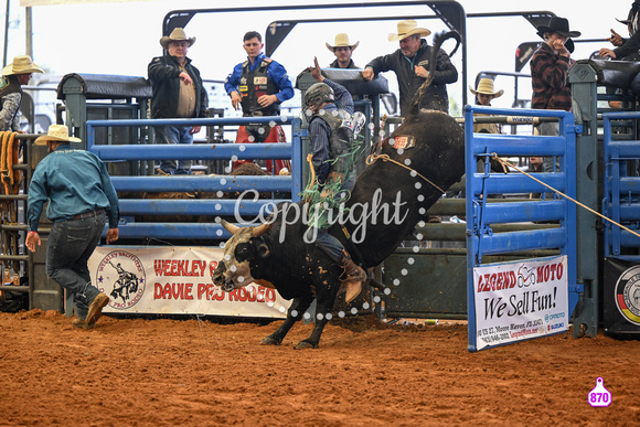 BRIGHTON FIELD DAY AND RODEO XTREME BULLS 2024 38743
