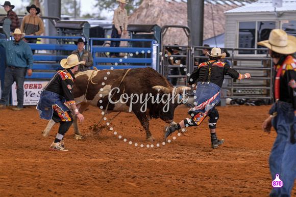 BRIGHTON FIELD DAY AND RODEO XTREME BULLS 2024 38986