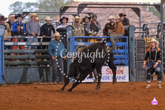 BRIGHTON FIELD DAY AND RODEO XTREME BULLS 2024 39005