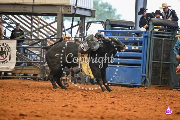 BRIGHTON FIELD DAY AND RODEO XTREME BULLS 2024 39010