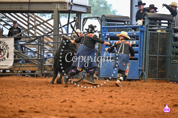 BRIGHTON FIELD DAY AND RODEO XTREME BULLS 2024 39013
