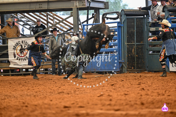 BRIGHTON FIELD DAY AND RODEO XTREME BULLS 2024 39044