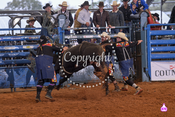 BRIGHTON FIELD DAY AND RODEO XTREME BULLS 2024 39045