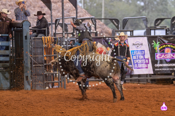 BRIGHTON FIELD DAY AND RODEO XTREME BULLS 2024 39062
