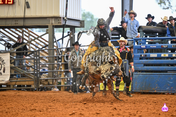 BRIGHTON FIELD DAY AND RODEO XTREME BULLS 2024 39065