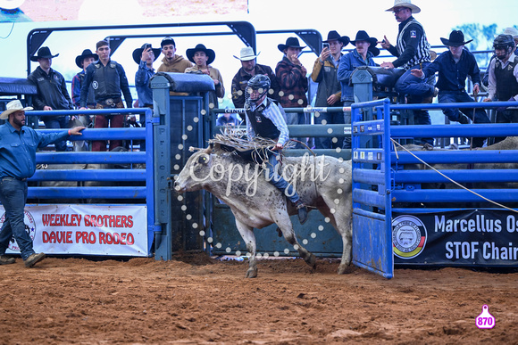 BRIGHTON FIELD DAY AND RODEO XTREME BULLS 2024 39077
