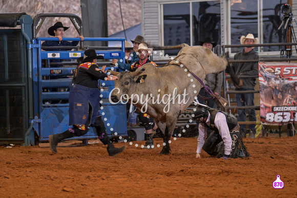 BRIGHTON FIELD DAY AND RODEO XTREME BULLS 2024 39104