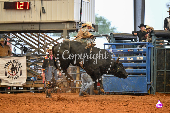 BRIGHTON FIELD DAY AND RODEO XTREME BULLS 2024 39128