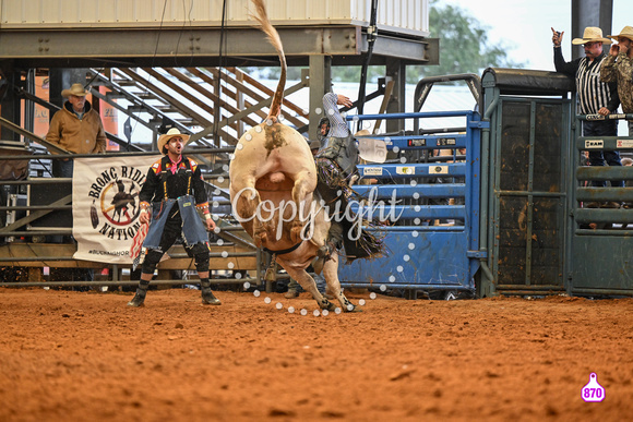 BRIGHTON FIELD DAY AND RODEO XTREME BULLS 2024 39150