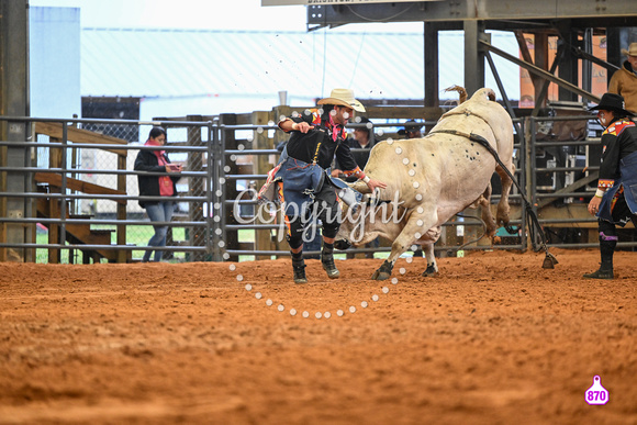 BRIGHTON FIELD DAY AND RODEO XTREME BULLS 2024 39159