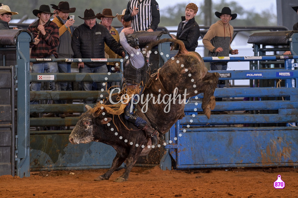 BRIGHTON FIELD DAY AND RODEO XTREME BULLS 2024 39201