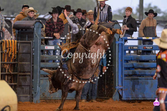 BRIGHTON FIELD DAY AND RODEO XTREME BULLS 2024 39209