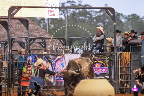 BRIGHTON FIELD DAY AND RODEO XTREME BULLS 2024 39360