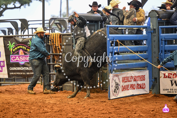 BRIGHTON FIELD DAY AND RODEO XTREME BULLS 2024 39455