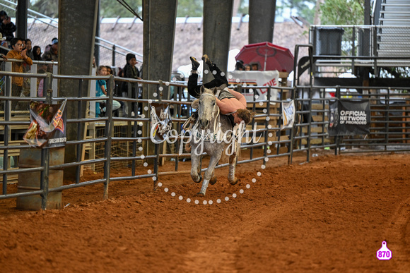 BRIGHTON FIELD DAY AND RODEO XTREME BULLS 2024 38878
