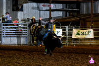 ALL BULLS FROM CHAMPIONSHIP SUNDAY (4)