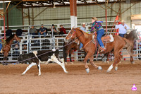 ALLIE HOGGARD 30037