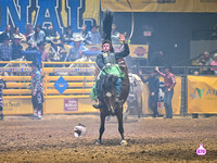 DROBERTS-DIXIE NATIONALS 2023-PERF #2-02112023-BAREBACK-BRYCE ECK-MAKE YA SMILE-BROOKMAN RODEO  8165