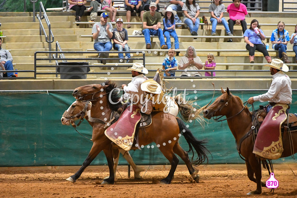 QUEEN CITY PRO RODEO PERFORMANCE #2 4-07-2213881