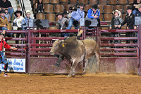 DROBERTS-SLE-PERFORMANCE #1- 03142025-MONTGOMERY ALABAMA-BR-BLAKE BLANCHARD-FRONTIER RODEO CO-MOON FLOWER 21818