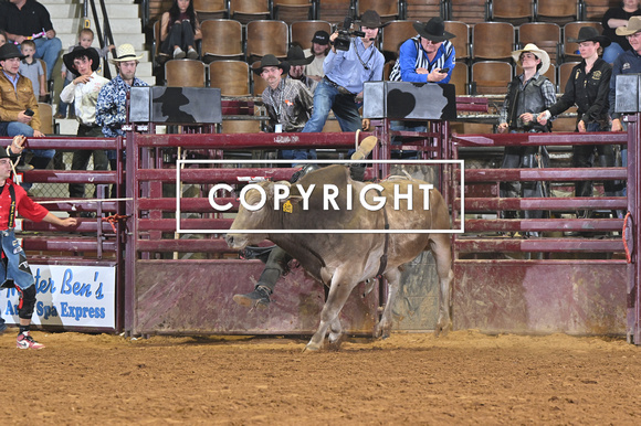 DROBERTS-SLE-PERFORMANCE #1- 03142025-MONTGOMERY ALABAMA-BR-BLAKE BLANCHARD-FRONTIER RODEO CO-MOON FLOWER 21818