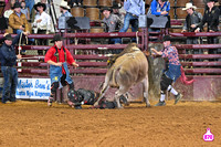 DROBERTS-SLE-PERFORMANCE #1- 03142025-MONTGOMERY ALABAMA-BR-BLAKE BLANCHARD-FRONTIER RODEO CO-MOON FLOWER 21819-2