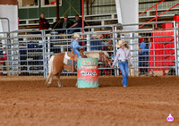ARLEIGH HARRISON 29648