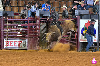 DROBERTS-SLE-PERFORMANCE #1- 03142025-MONTGOMERY ALABAMA-BR-BLAKE BLANCHARD-FRONTIER RODEO CO-MOON FLOWER 21816-2