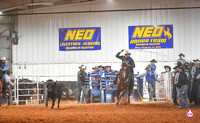 NEO ALUMNI-MEMBERSHIP 11-20-212257