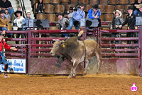 DROBERTS-SLE-PERFORMANCE #1- 03142025-MONTGOMERY ALABAMA-BR-BLAKE BLANCHARD-FRONTIER RODEO CO-MOON FLOWER 21818